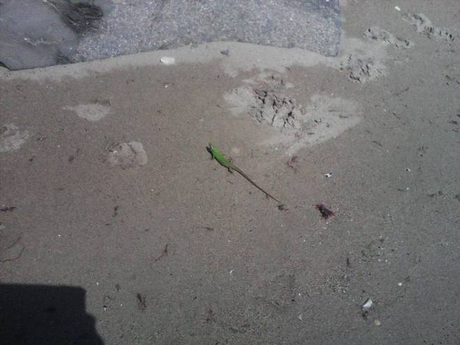 10958815_689884637804842_6948560122810599410_n