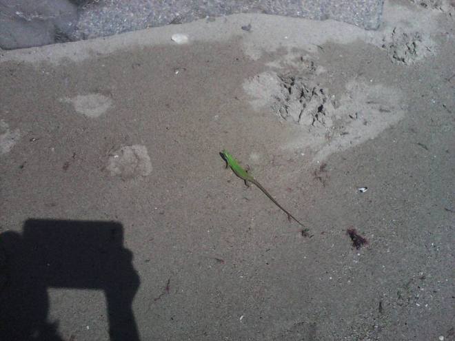 11246846_689884577804848_7736094757921371552_n