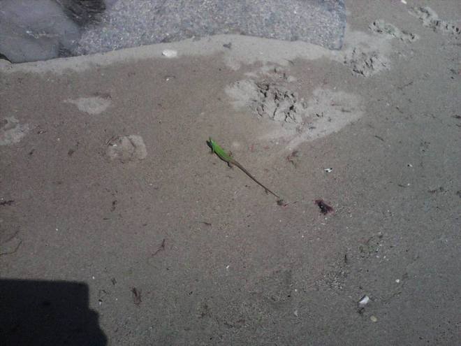 11351295_689884617804844_8441965424926508750_n