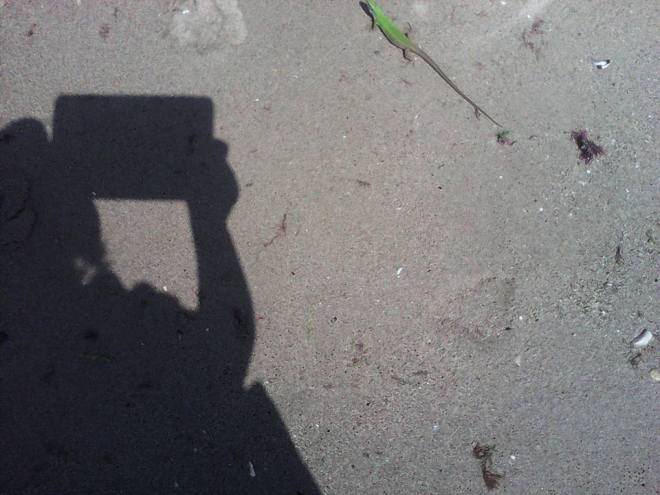 11392866_689884664471506_8350280047153923952_n