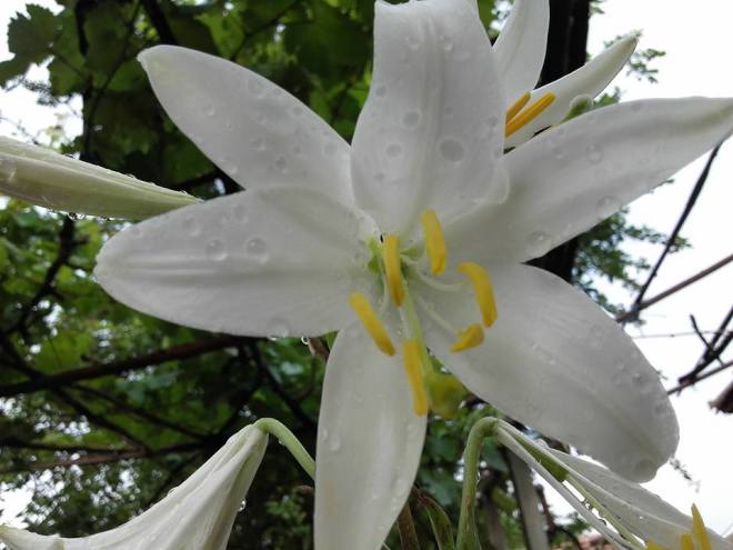 13406887_872870199506284_5363581485460500279_n