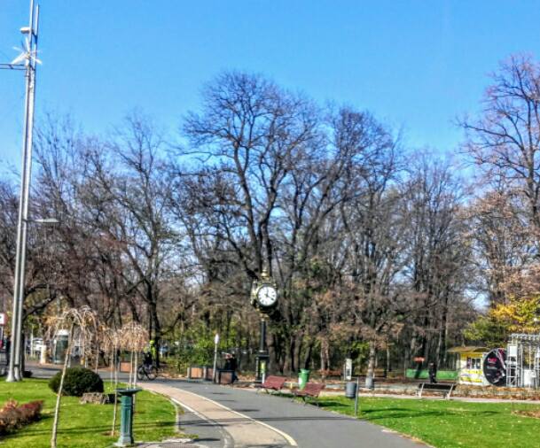 15094997_991612117632091_3048248360508847487_n