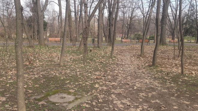 17097711_1099339596859342_8283711209081089023_o