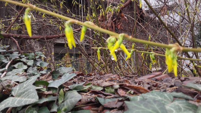 17218443_1112305095562792_2046208648496068_o