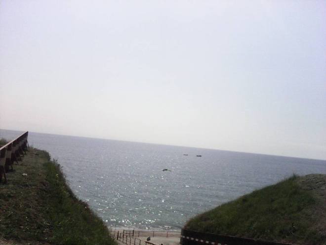 11295573_689884367804869_3886987304549864435_n