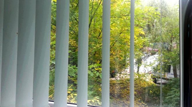 22309038_1304237323036234_5920085733720497897_n