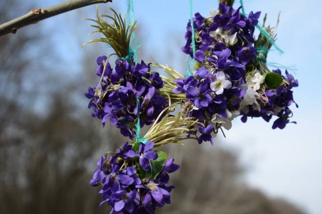 11002703_801174116602541_5473771473994355375_o