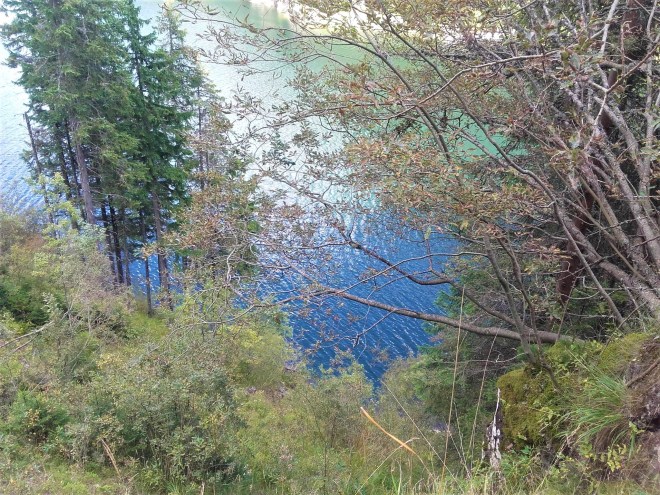 18449628_1169831983143436_4596156316310629613_o (1)