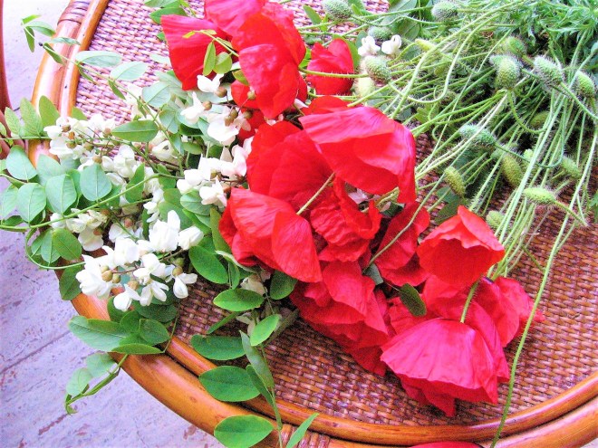 18766523_1184707021655932_9160381037333520261_o