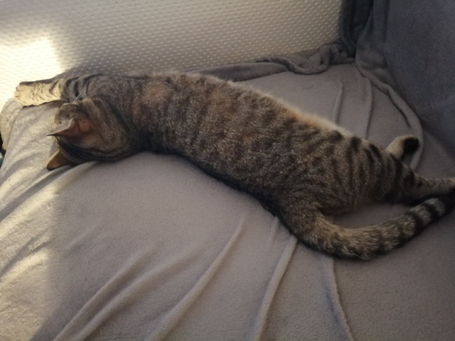 64361826_448482245946389_143613153643593728_n