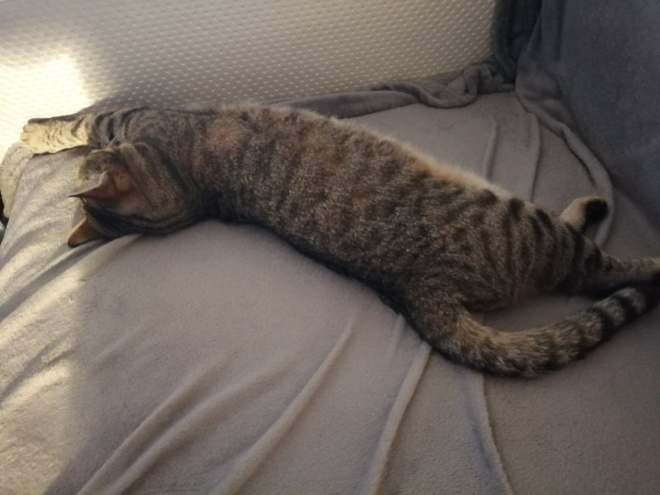 64361826_448482245946389_143613153643593728_n