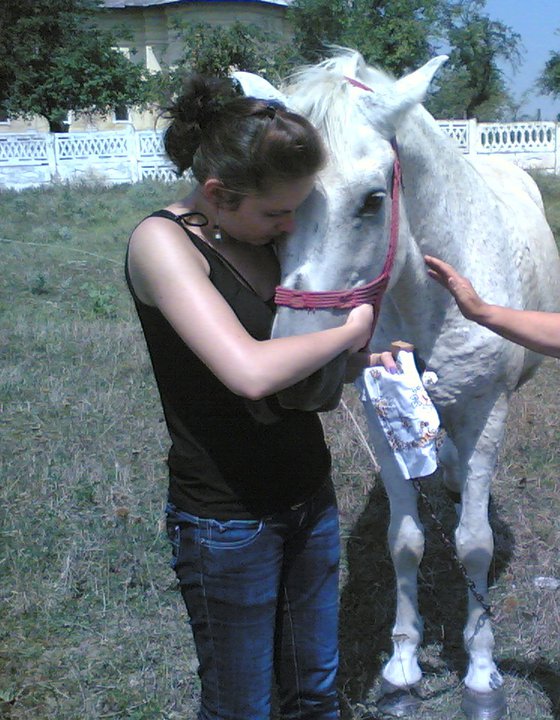 44821_143885865644786_3586511_n